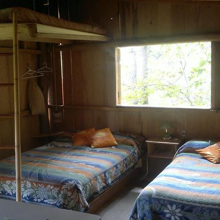 Rumi Wilco Ecolodge & Nature Reserve-Cabanas & Camping Vilcabamba Dış mekan fotoğraf