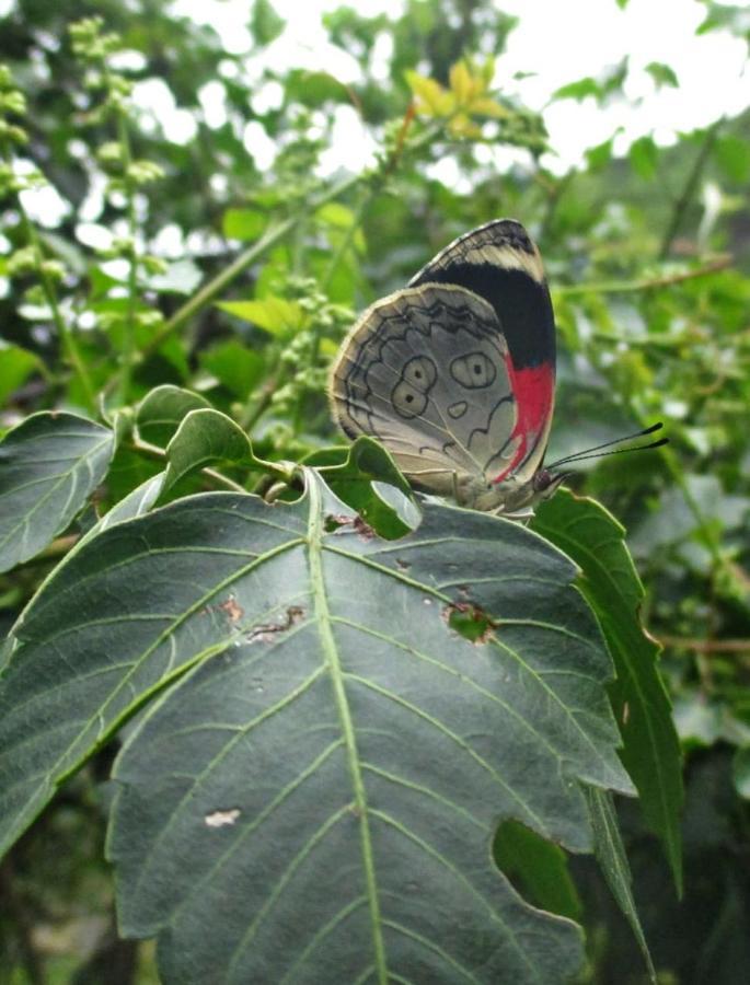 Rumi Wilco Ecolodge & Nature Reserve-Cabanas & Camping Vilcabamba Dış mekan fotoğraf