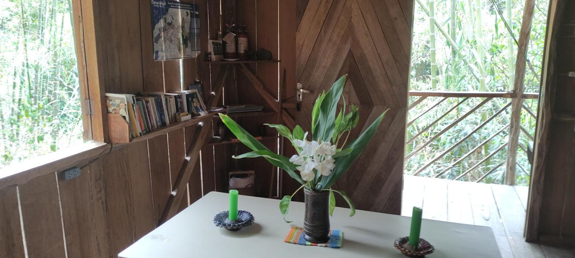 Rumi Wilco Ecolodge & Nature Reserve-Cabanas & Camping Vilcabamba Dış mekan fotoğraf
