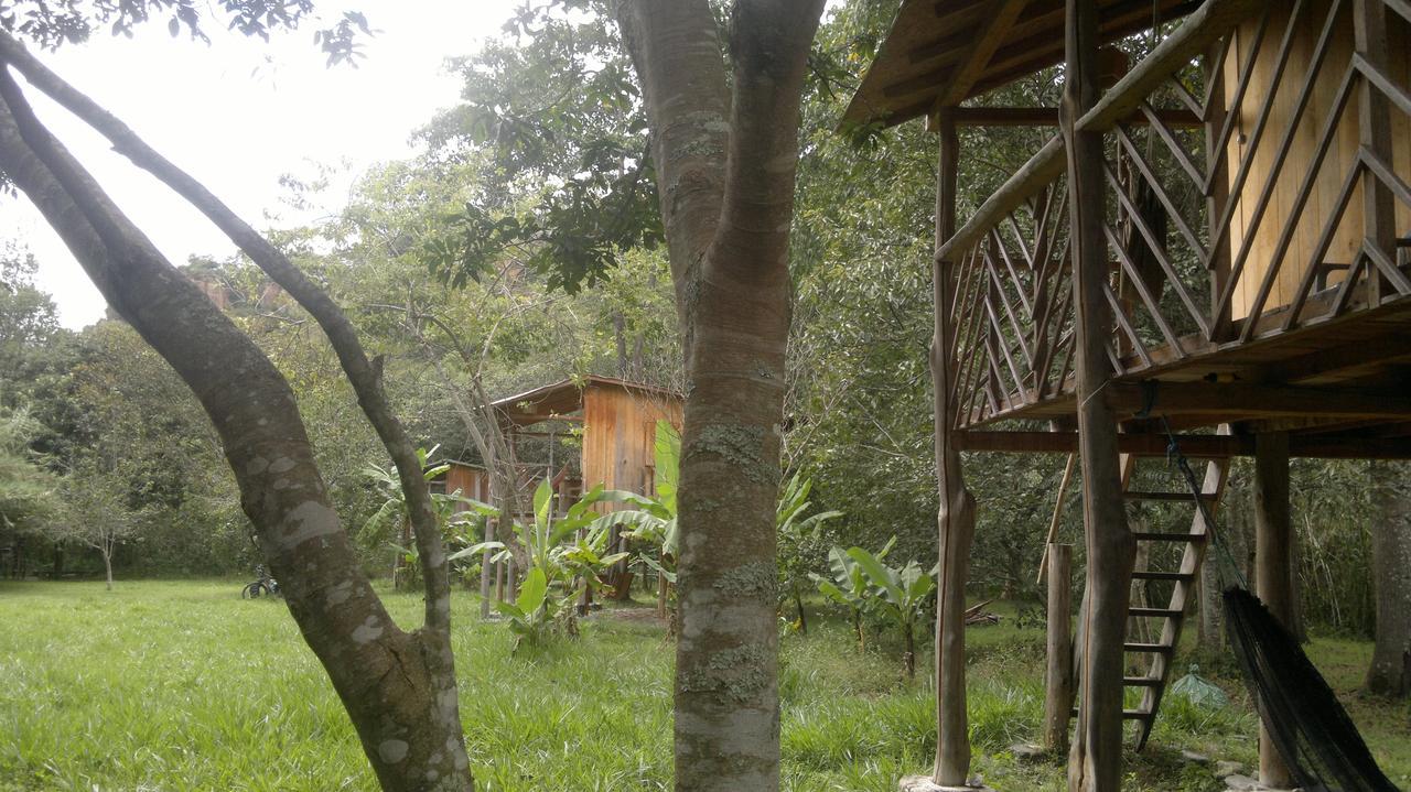 Rumi Wilco Ecolodge & Nature Reserve-Cabanas & Camping Vilcabamba Dış mekan fotoğraf